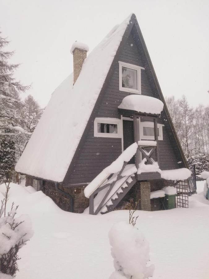 Grygielowka Nad Jeziorem - Sauna & Jacuzzi Kamien  Exterior photo